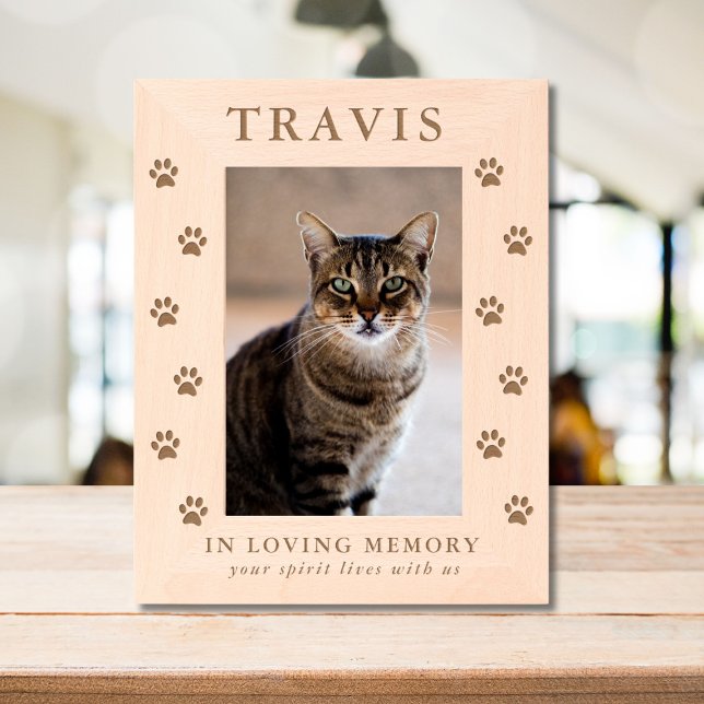 Personalised Cat Dog Pet Memorial  Etched Frames (Creator Uploaded)