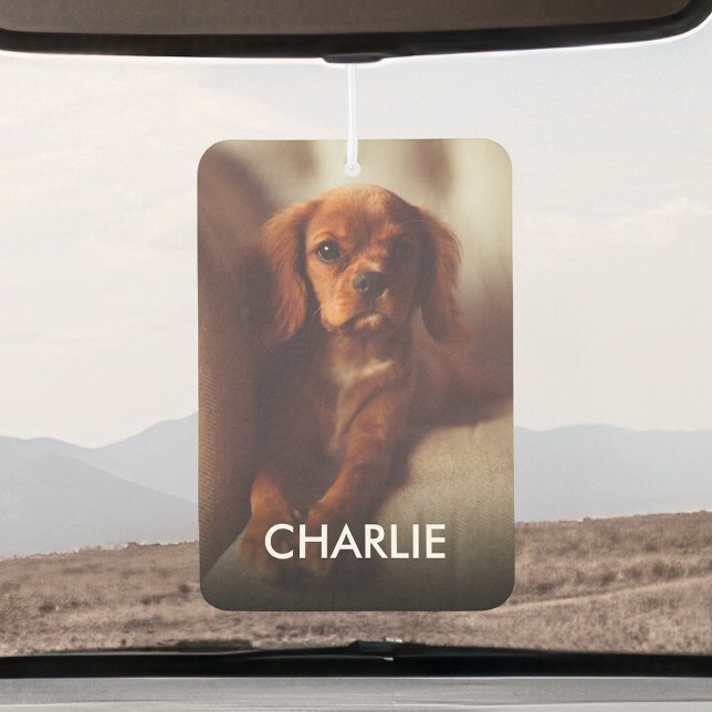 Personalised Cat Dog Pets Photo And Name Car Air Freshener (Creator Uploaded)