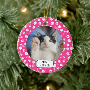 Personalised Cat Fish Bone & Pawprint Pet Photo Ce Ceramic Ornament