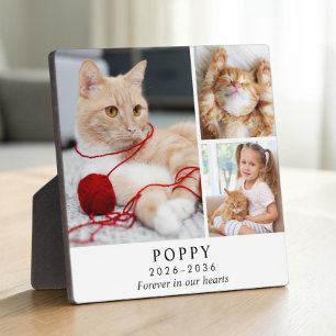 Personalised Cat Memorial Photo Collage Plaque