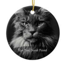 Personalised Cat Memorial Photo Ornament