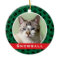 Personalised Cat Pet Photo Ornament
