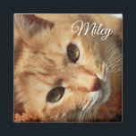 Personalised Cat Photo and Name Magnet<br><div class="desc">Add your favourite baby, pet or family photo to this adorable magnet and hang up on your frig, locker or dry erase board!</div>