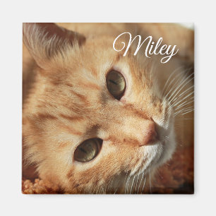 Personalised Cat Photo and Name Magnet