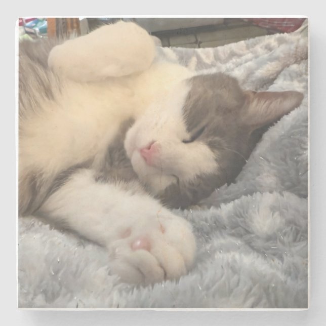 Personalised Cat Photo Pet Lover Gift Stone Coaster (Front)