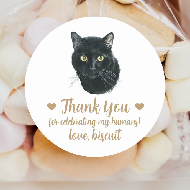 Personalised Cat Wedding Favour Stickers (Creator Uploaded)