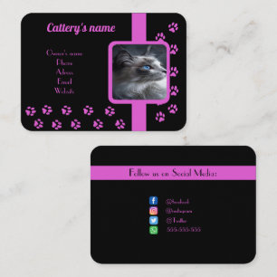 Personalised Cattery Business Black and Pink Card