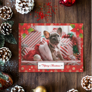 Personalised Christmas Holidays Photo Postcard