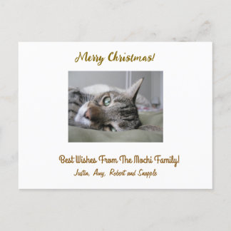 Personalised Christmas Post Card With Photo