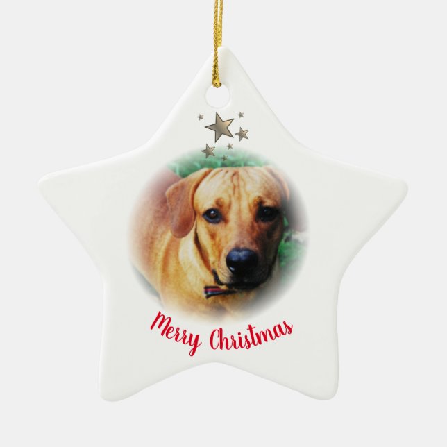 Personalised Christmas Star Shaped Ornament (Front)