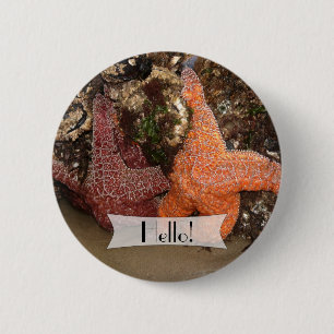 Personalised Colourful Starfish/Sea Star Photo 3 6 Cm Round Badge