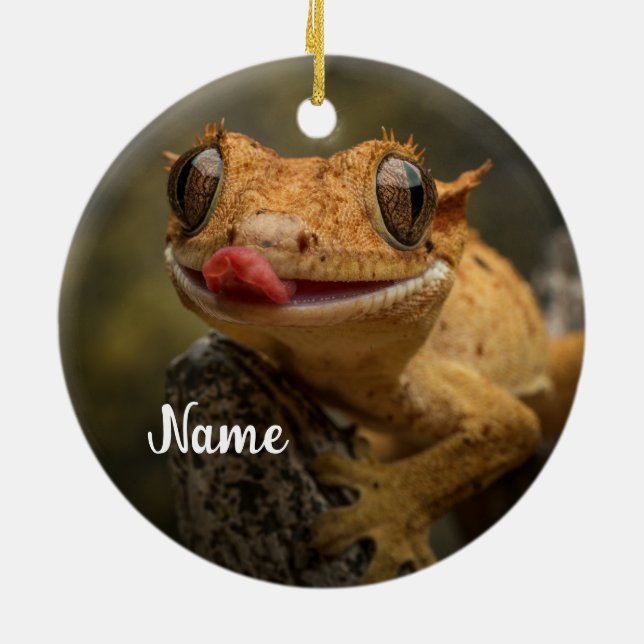 Personalised Crested Gecko Lizard Ceramic Ornament (Back)