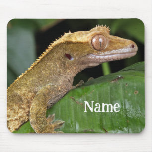 Personalised Crested Gecko Pet Lizard Mouse Pad