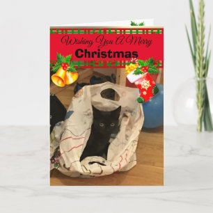 Personalised Custom Cat Christmas Photo Cards