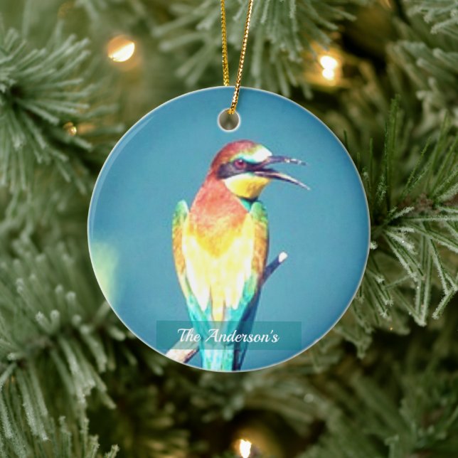 Personalised Custom Colourful Bird Photo Ceramic Ornament (Tree)