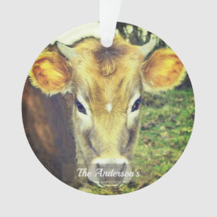 Personalised Custom Cow Photo Ornament
