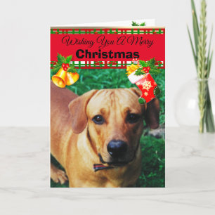 Personalised Custom Dog Photo Christmas Cards