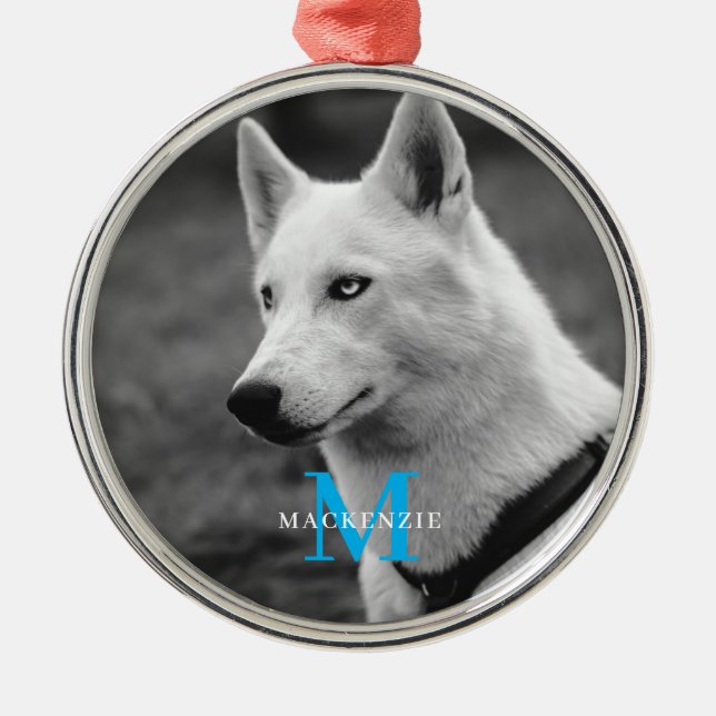 Personalised Custom Monogram Elegant Dog Pet Photo Metal Ornament (Front)