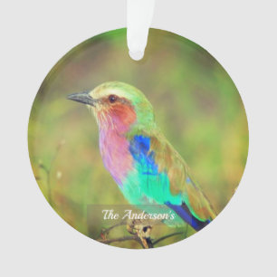 Personalised Custom Multicolor Bird Photo Ornament