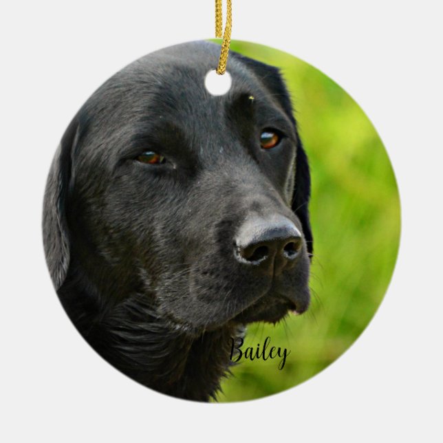 Personalised Custom Pet  Photo and Name  Ceramic Ornament (Front)