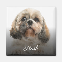 Personalised Custom Pet Photo Magnet