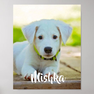 Personalised custom pet photo poster