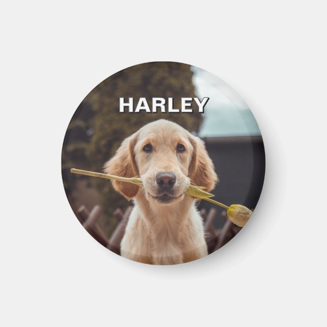 Personalised Custom Photo And Text Magnet (Front)