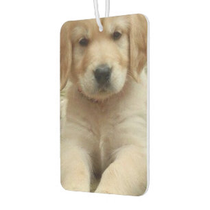 Personalised custom photo image picture two sided  car air freshener