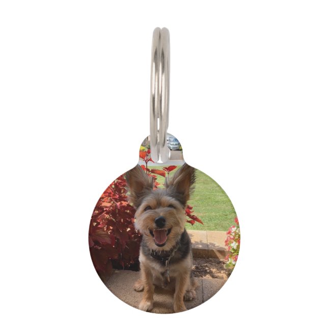 Personalised Custom Photo Name Phone # Address Pet Tag (Front)