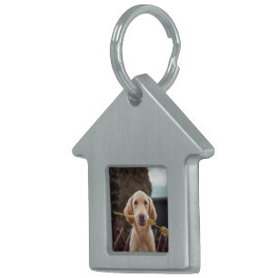 Personalised Custom Photo Pet ID Tag