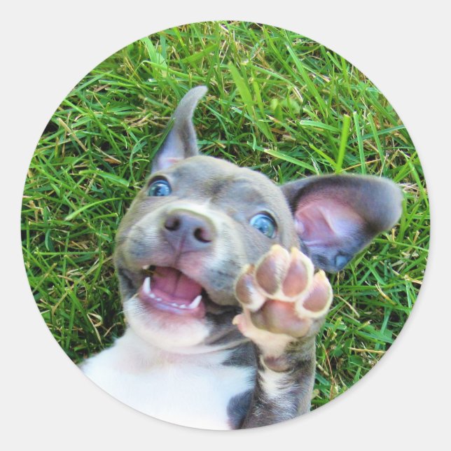 Personalised Custom Photo Puppy Dog Birthday Party Classic Round Sticker (Front)