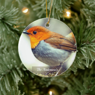 Personalised Custom Robin Bird Photo Ceramic Ornament