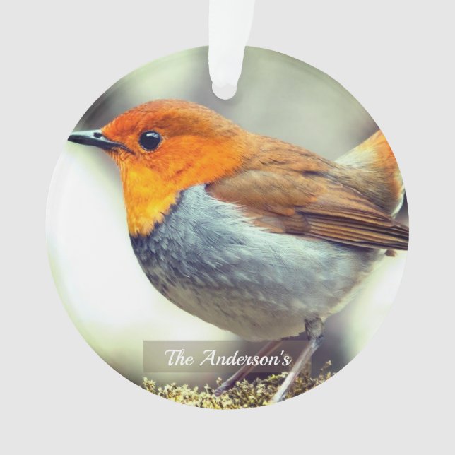 Personalised Custom Robin Bird Photo Ornament (Front)