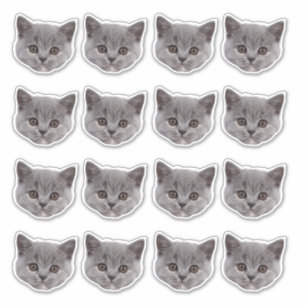 Personalised Cute Cat Face 16 Photos Vinyl