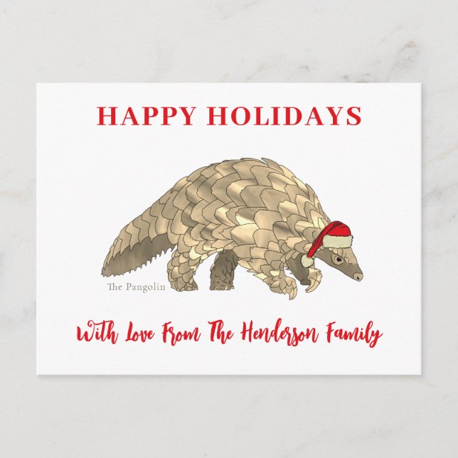 Personalised Cute Christmas Pangolin Holiday Postcard (Front)