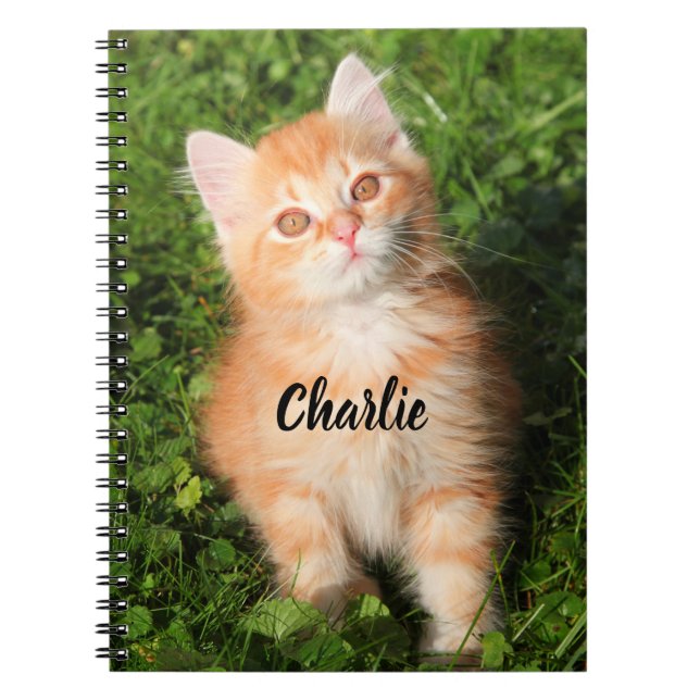 Personalised Cute Fluffy Orange Tabby Cat Kitten Notebook (Front)