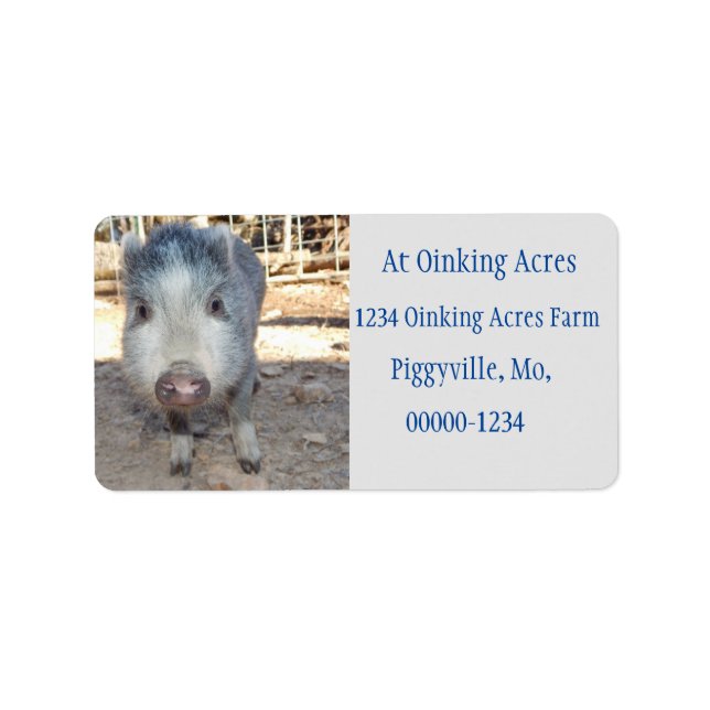Personalised Cute Grey Mini Pig Address Labels (Front)