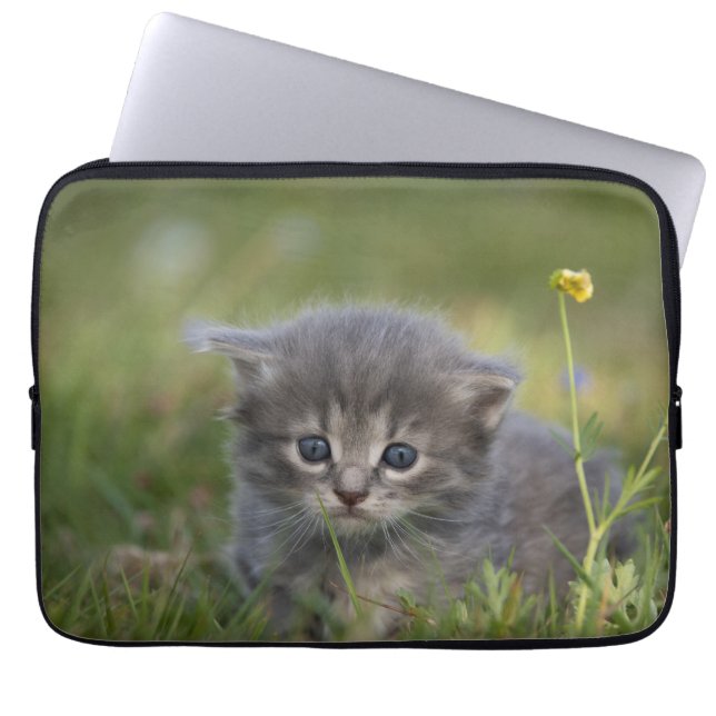 Personalised Cute Kitten Laptop Sleeve (Front)