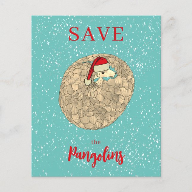 Personalised Cute Pangolin Christmas Budget (Front)