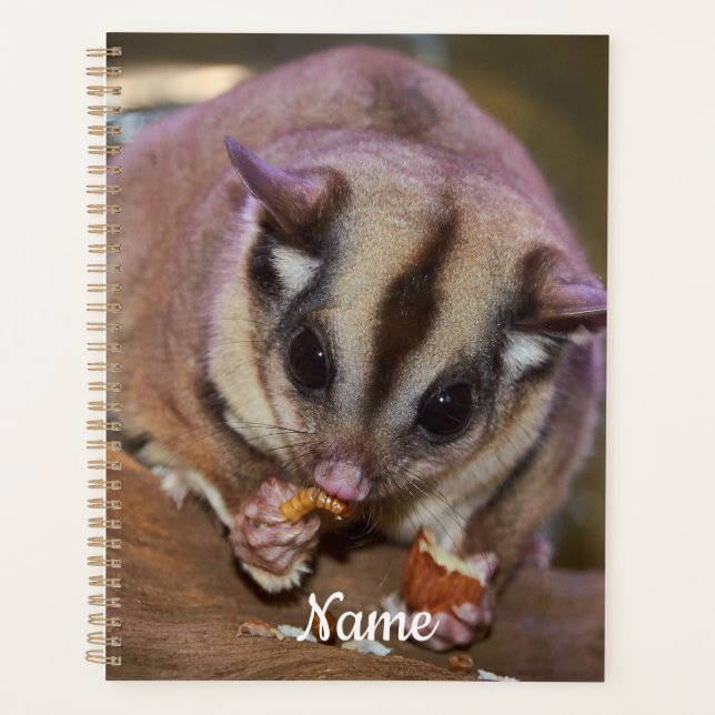 Personalised Cute Pet Sugar Glider Eating  Planner (Front)