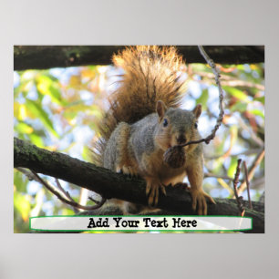 Personalised Cute Squirrel Humour Poster