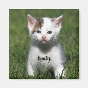 Personalised Cute White Kitten Magnet