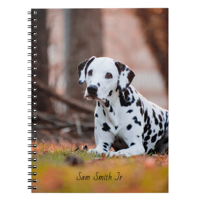 Personalised// Dalmatian Dog Notebook (Front)