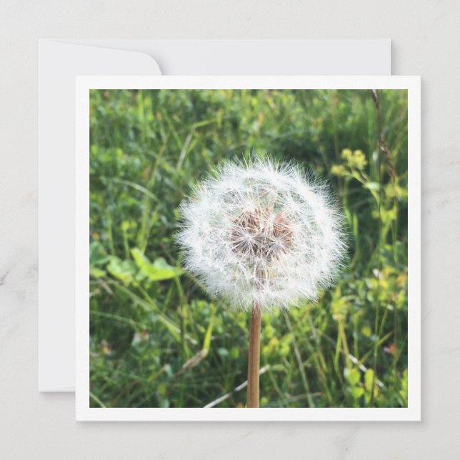 Personalised dandelion card (Front)