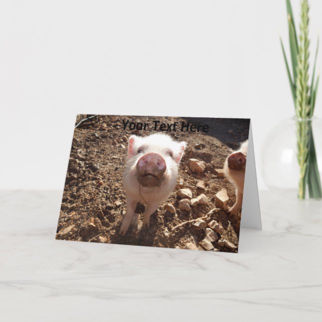 Personalised Dirty Snout Mini Pig Greeting Card (Front)