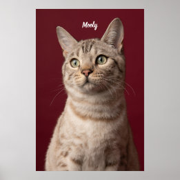 Personalised Dog & Cat Name Photo Prints, Instant Poster