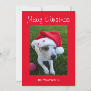 Personalised Dog Photo Christmas Card