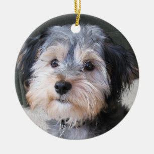 Personalised Dog Photo Frame - DOUBLE-SIDED Ceramic Ornament