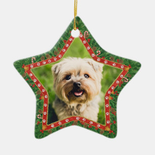 Personalised Dog Photo Star Shaped Christmas Ceramic Ornament