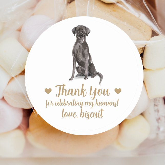 Personalised Dog Wedding Favour Stickers (Creator Uploaded)
